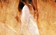 三年在线观看免费大全下载